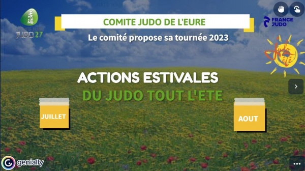 ACTIONS JUDO ETE - PLANNING D'ANIMATIONS